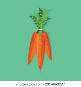 food fresh illustration healty carrots vector tajawindu