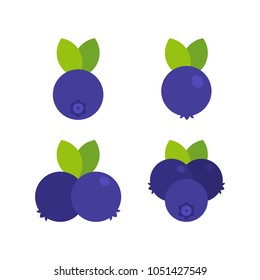 Food - Fruit - Flat Icon Set - Blueberry Isolated on White Background
