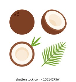 Food - Fruit - Flat Icon Set - Coconut and Leaf Isolated on White Background