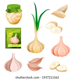 Food from garlic, seasoning spices or vegetable