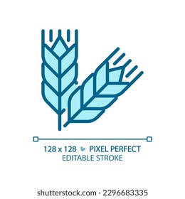 Food grains pixel perfect blue RGB color icon. Oat meal. Wheat harvesting. Cereal crops. Agricultural commodity. Isolated vector illustration. Simple filled line drawing. Editable stroke