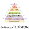 food pyramid vector