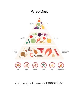 Concepto de guía alimentaria. Ilustración moderna plana vectorial. Pirámide infográfica de dieta Paleo con etiqueta, reglas y recomendaciones con signo de restricción de parada. Iconos alimentarios de frutas, hortalizas, pescado, carne y semillas