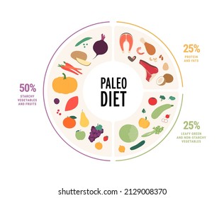 Food guide concept. Vector flat modern illustration. Paleo diet food plate infographic with percent labels. Colorful food icon set of fruit vegetables, fruit, meat in circle frame.