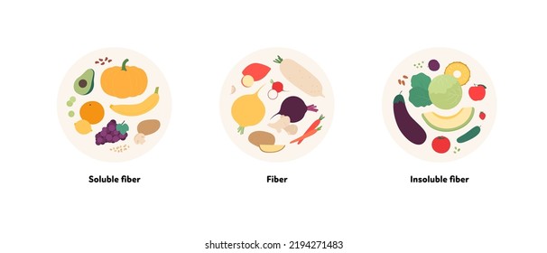 Food guide for healthy eating concept. Vector flat design various soluble and insoluble fiber sources products colorful symbol in circle frames isolated on white background.