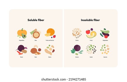 Food guide for healthy eating concept. Vector flat design various soluble and insoluble colorful fiber sources products symbol in frame with labeled text isolated on white background.