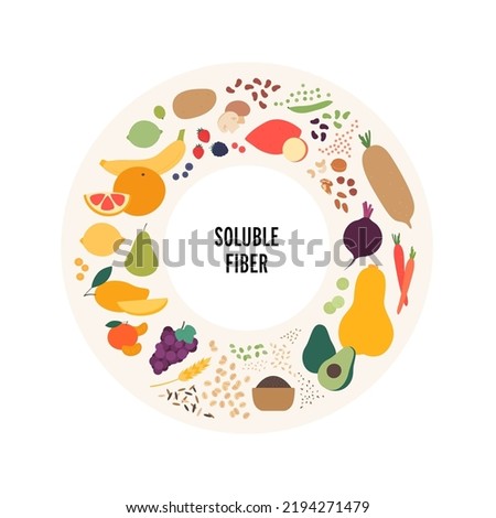 Food guide for healthy eating concept. Vector flat design various soluble fiber sources products colorful symbol in circle frame isolated on white background.