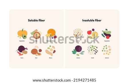 Food guide for healthy eating concept. Vector flat design various soluble and insoluble colorful fiber sources products symbol in frame with labeled text isolated on white background.