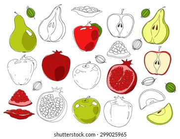 Food hand drawn vector elements. Fruits and berries. Vitamins. Colorful background.  Apple, pear, pomegranate, gooseberry.