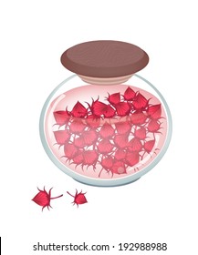 Food and Herb, An Illustration Preserved Hibiscus Sabdariffa or Roselle Fruits in A Glass Jar. 