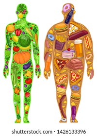 The food in the human diet, obesity, food watercolor, vector illustration