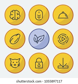 Food icon with lock, cat and download symbols. Set of mental, pussy, data transfer icons and kernel concept. Editable vector elements for logo app UI design.