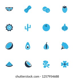 Food icons colored set with avocado, mangosteen, peanut and other organic elements. Isolated vector illustration food icons.