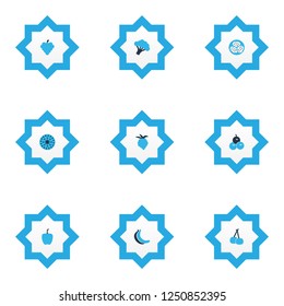 Food icons colored set with banana, kiwano, fig and other blackberry elements. Isolated vector illustration food icons.
