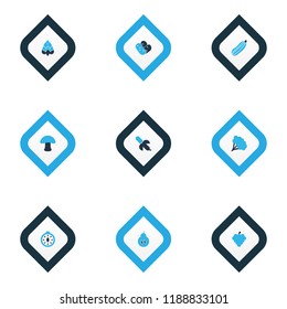 Food icons colored set with beans, zucchini, mushroom and other grapes elements. Isolated vector illustration food icons.
