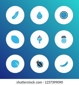Food icons colored set with citrus, pineapple, duchess and other plant elements. Isolated vector illustration food icons.