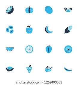 Food icons colored set with pumpkin, berry, coffee bean and other bunch elements. Isolated vector illustration food icons.