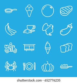 Food icons set. set of 16 food outline icons such as crab, turkey, orange, eggplant, beehouse, ice cream, coffee and croissant, pumpkin, beef, plate fork and spoon, bread, pan