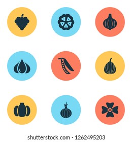 Food icons set with cocoa beans, legume, clover and other shamrock elements. Isolated vector illustration food icons.