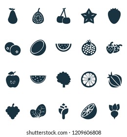 Food icons set with lemon, artichoke, apple and other coco elements. Isolated vector illustration food icons.