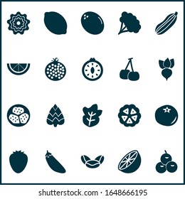 Food icons set with orange, kidney beans, garnet and other exotic melon elements. Isolated vector illustration food icons.