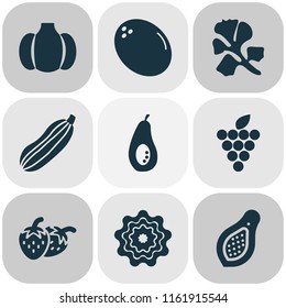 Food icons set with papaya, parsley, virgin and other avocado elements. Isolated vector illustration food icons.