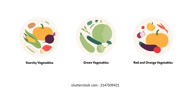 Food illustration collection. Vector flat design of various starchy, green, orange and red vegetables symbol in circle frame isolated on white background.