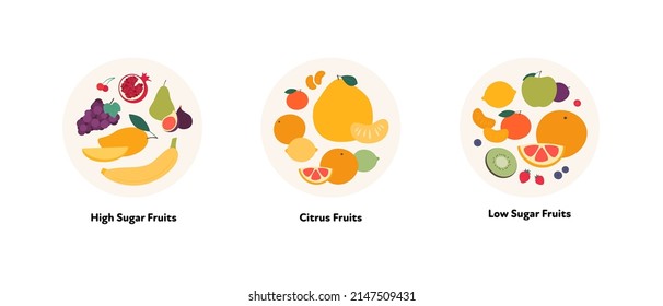 Food illustration collection. Vector flat design of high and low sugar fruits and citrus vegetables symbol in circle frame isolated on white background.