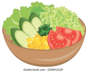 food illustration
fresh vegetable salad