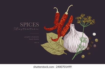 Ilustración de la comida, especias hechas a mano, afiche culinario. Pimienta de chile seca, ajo y hoja de laurel. Elementos gráficos para el diseño de libros de cocina, menú de restaurante y hojas de recetas