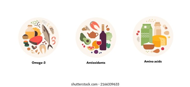 Ilustración de alimentos y recolección de fuentes de nutrientes saludables. Diseño plano vectorial de varios aminoácidos, omega-3, símbolo de producto antioxidante en marco circular aislado en fondo blanco.