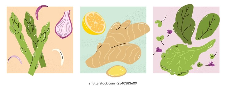 Conjunto de cartazes ilustrativos de alimentos. Uma coleção de 3 deliciosas e frescas saladas mistas, gengibre, limão, espargos. Vetor, ilustrações desenhadas à mão. estampa do alimento, um cartão postal, um anúncio, uma receita 