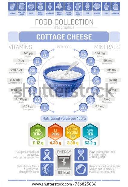 Food Infographics Poster Cottage Cheese Dairy Stock Image