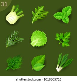 Food ingredients. Greens