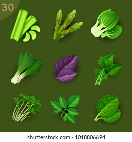 Food ingredients. Greens