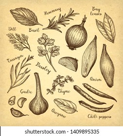 Food ingredients. Ink sketch on old paper background. Hand drawn vector illustration. Retro style.