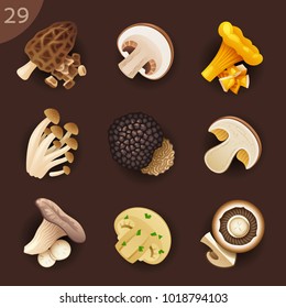 Food ingredients. Mushrooms