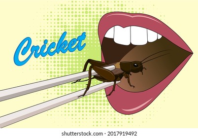 Food Insects. Mouth eating Cricket insect on chopsticks. Crickets insects for eating as food deep-fried crispy snack for take out, it is good source of protein edible for future. Entomophagy concept.