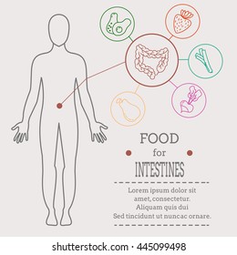 Food for intestines