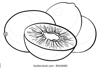 Food, kiwi fruit, monochrome contours on a white background, vector