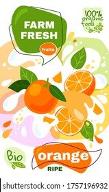 Food label template. vector illustration for organic orange milkshake fruit drink. natural bio fruits package design. ripe orange fruits with abstract splash background. eco concept farm fresh label.