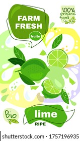 Food label template. vector illustration for organic lime milkshake fruit drink. natural bio fruits package design. ripe lime fruits with abstract splash background. eco concept farm fresh label.