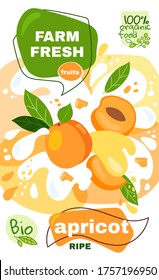 Food label template. vector illustration for organic apricot milkshake fruit drink. natural bio fruits package design. apricot fruits with abstract splash background. eco concept farm fresh label.