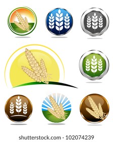 Food labels collection for whole grain cereal products. Various bright colors.