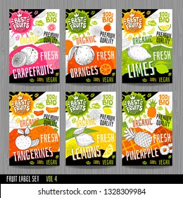 Food labels stickers set colorful sketch style fruits, spices vegetables package design. Pineapple, orange, lemons, tangerines, limes, grapefruits. Organic, fresh, bio, eco. Vector illustration.