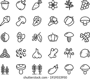 Food line icon set - acorn, coffee tree, spikes, wheat, carrot, arugula, mushroom, broccoli, pumpkin, bell pepper, tomato, eggplant, lemon, grape, cloves, ginger, onion, star anise, garlic, mint