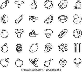 Food line icon set - basil, lemoncello, olives, olive oil, julienne, potato, carrot, cabbage, arugula, onion, bell pepper, tomato, salad leaf, squash, strawberry, plum, watermelon, coconut, orange