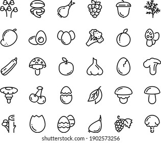 Food line icon set - clam, grape, acorn, broaken egg, eggs, easter, yolk, onion, broccoli, garlic, squash, cherry, plum, raspberry, mango, apple fruit, bay leaf, dill, cress, shiitake, agaric, fly