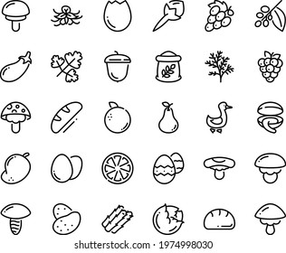 Food line icon set - clam, acorn, goose, coffee tree, egg, broaken, easter, bread, flour bag, potato, asparagus, cabbage, eggplant, citrus, raspberry, pear, orange, grape, mango, cloves, vanilla