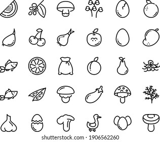 Food line icon set - fish, goose, coffee tree, egg, broaken, eggs, flour bag, peas, onion, eggplant, garlic, cherry, citrus, plum, pear, melon, orange, mango, apple seeds, vanilla, dill, cress